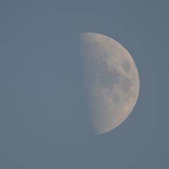 kurz vor Sonnenuntergang - halbmond am 01.11. 2022