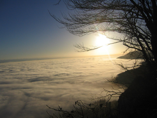 Kurz vor Sonnenuntergang. Höchiflue im Dezember 04