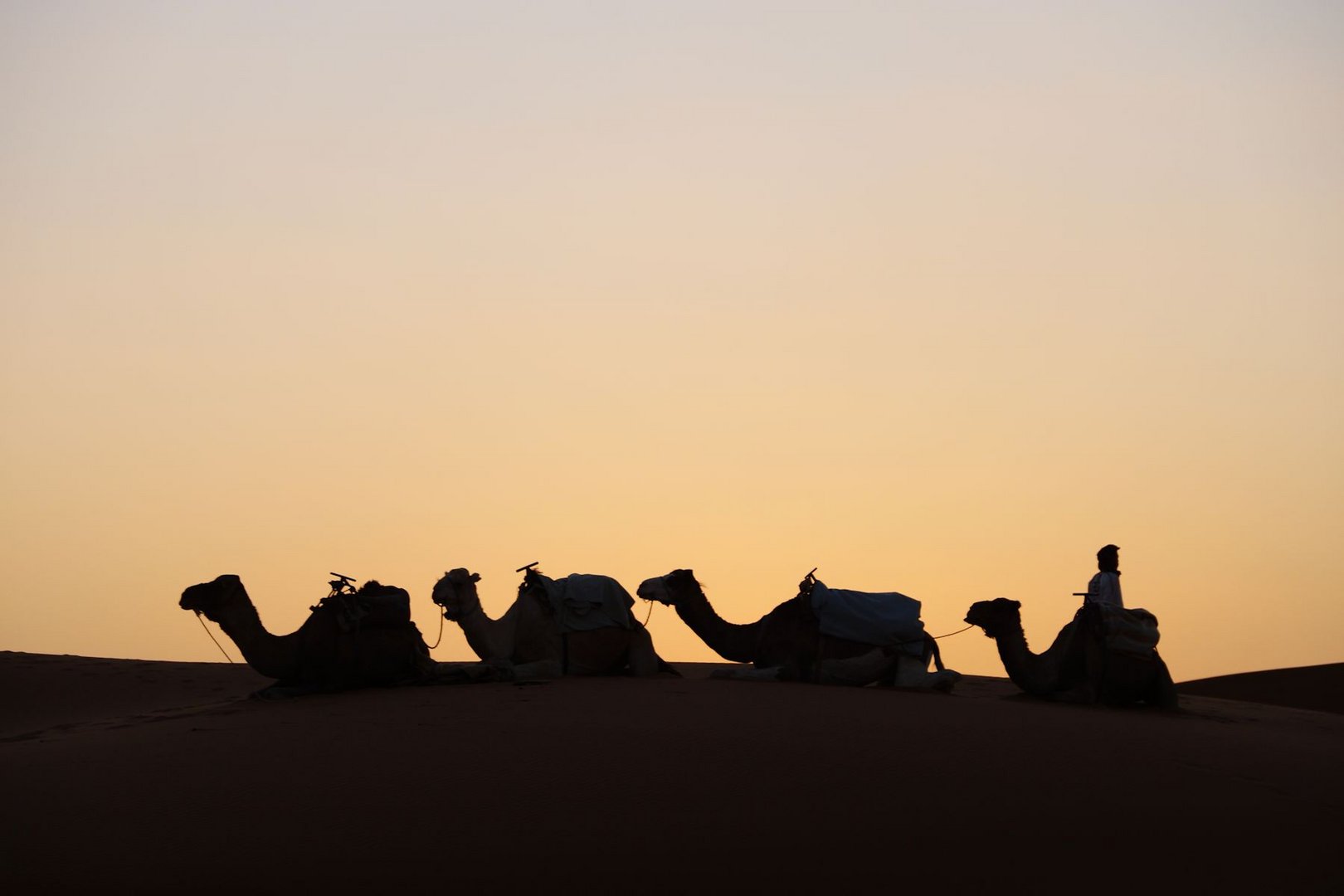 Kurz vor Sonnenuntergang im Erg-Chebbi 2, Marokko