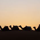 Kurz vor Sonnenuntergang im Erg-Chebbi 2, Marokko