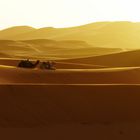 Kurz vor Sonnenuntergang im Erg-Chebbi, Marokko