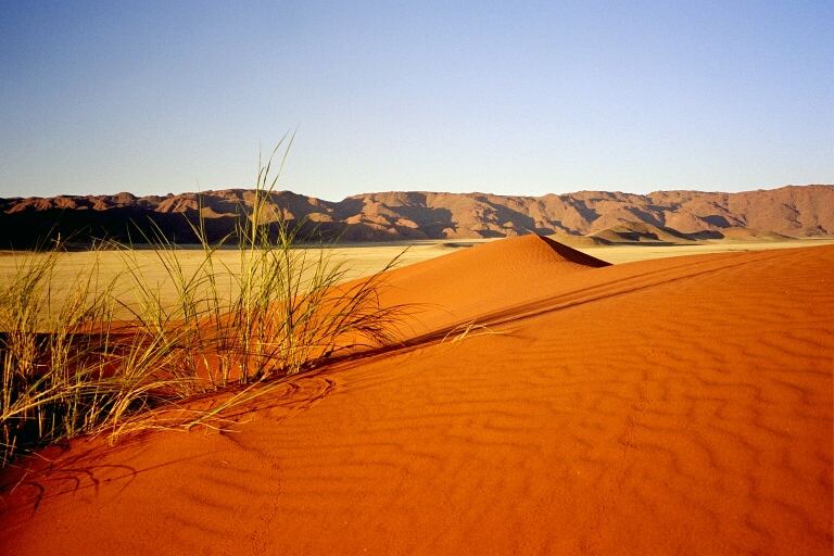 Kurz vor Sonnenuntergang in der südlichen Namib