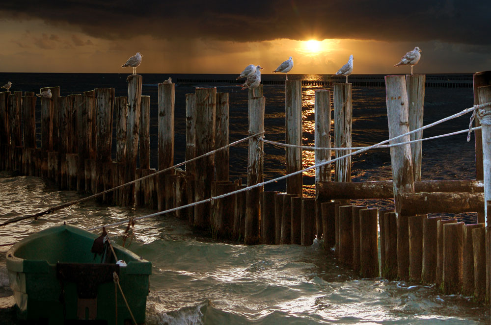 Kurz vor Sonnenuntergang in Zingst