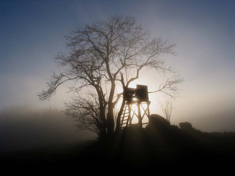 kurz vor Sonnenuntergang lichtet sich der Nebel