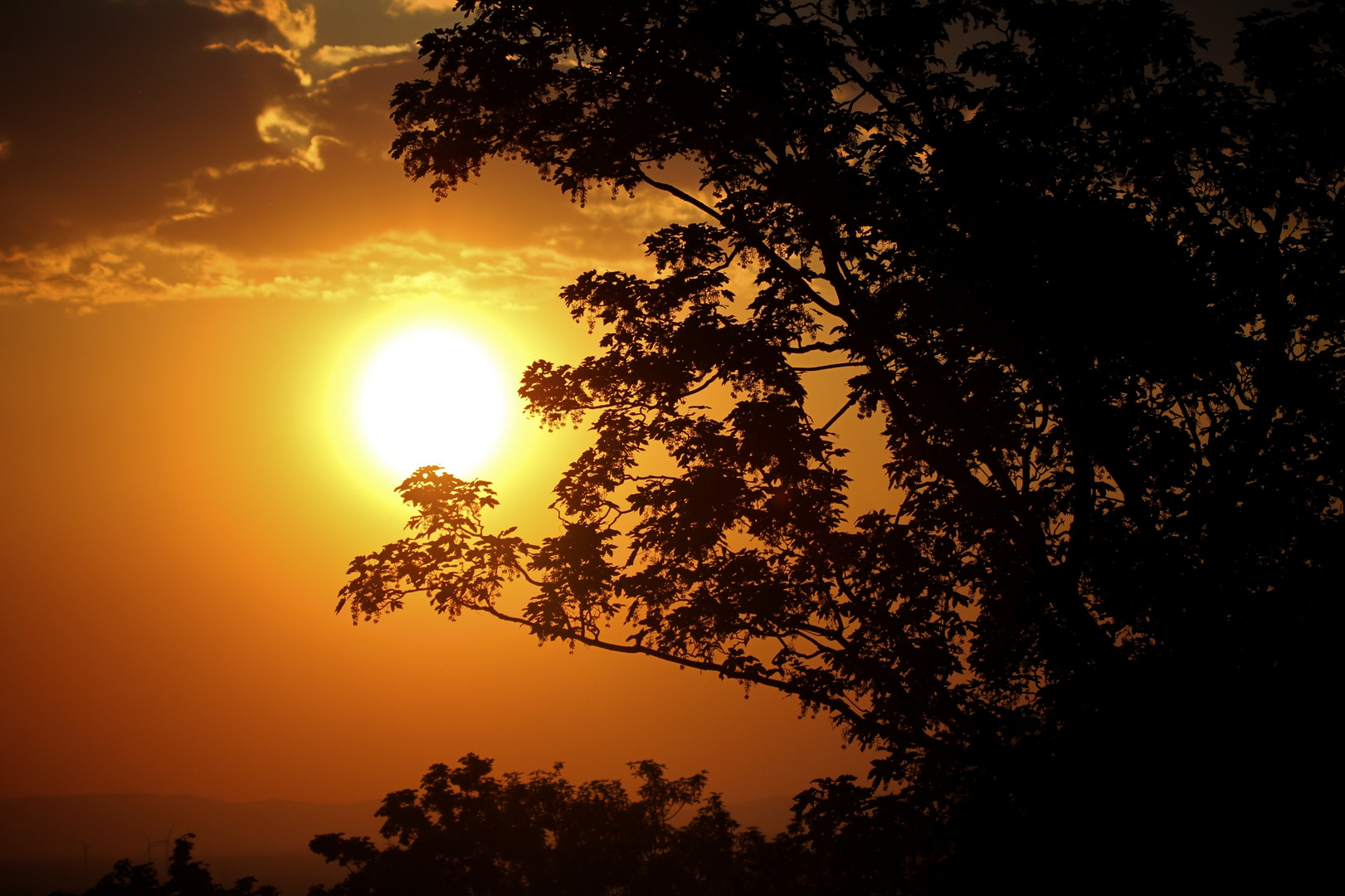 Kurz vor Sonnenuntergang über den Dächern von Karlsruhe