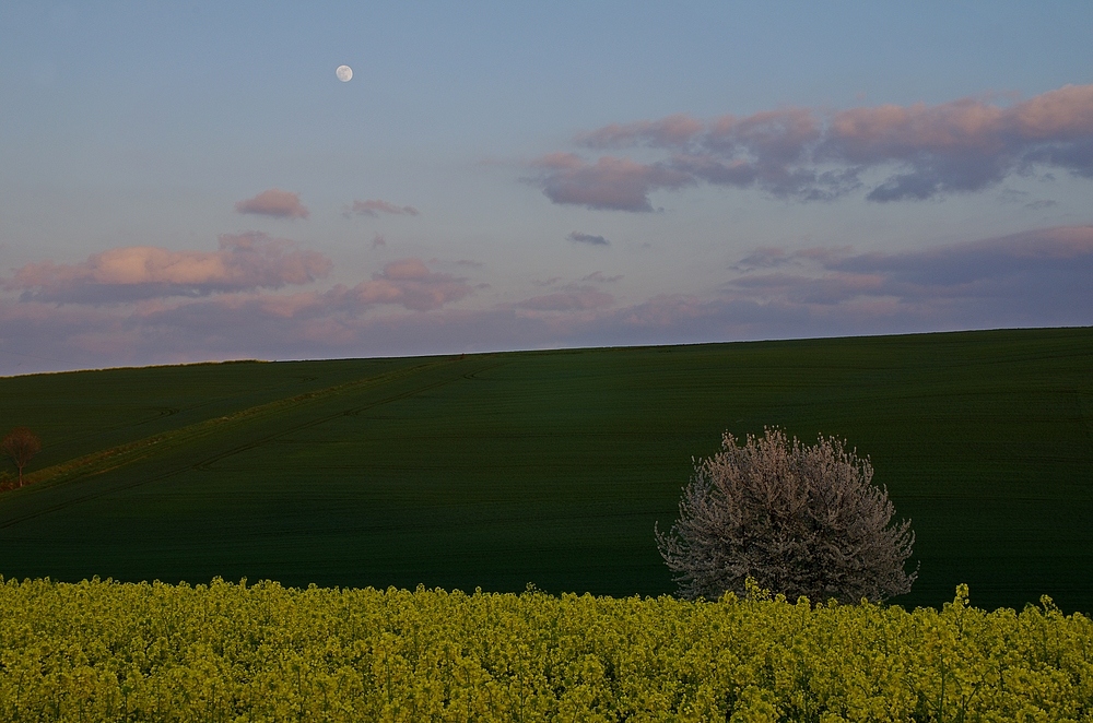 Kurz vor Vollmond 13.4.14