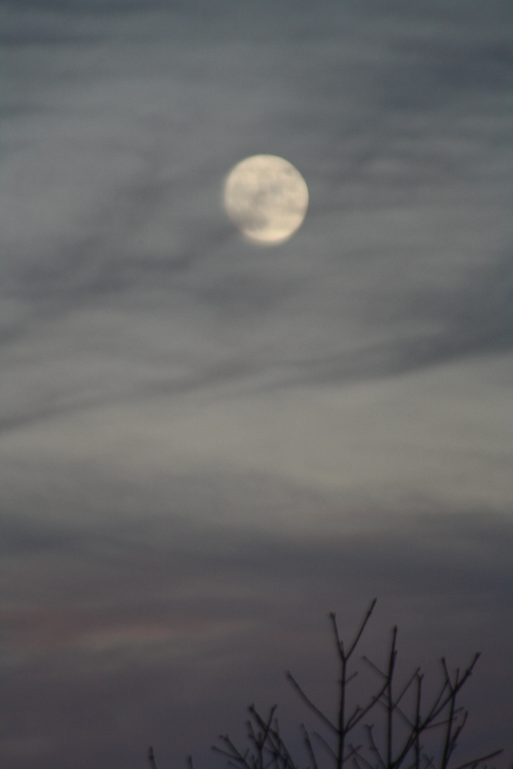 kurz vor Vollmond