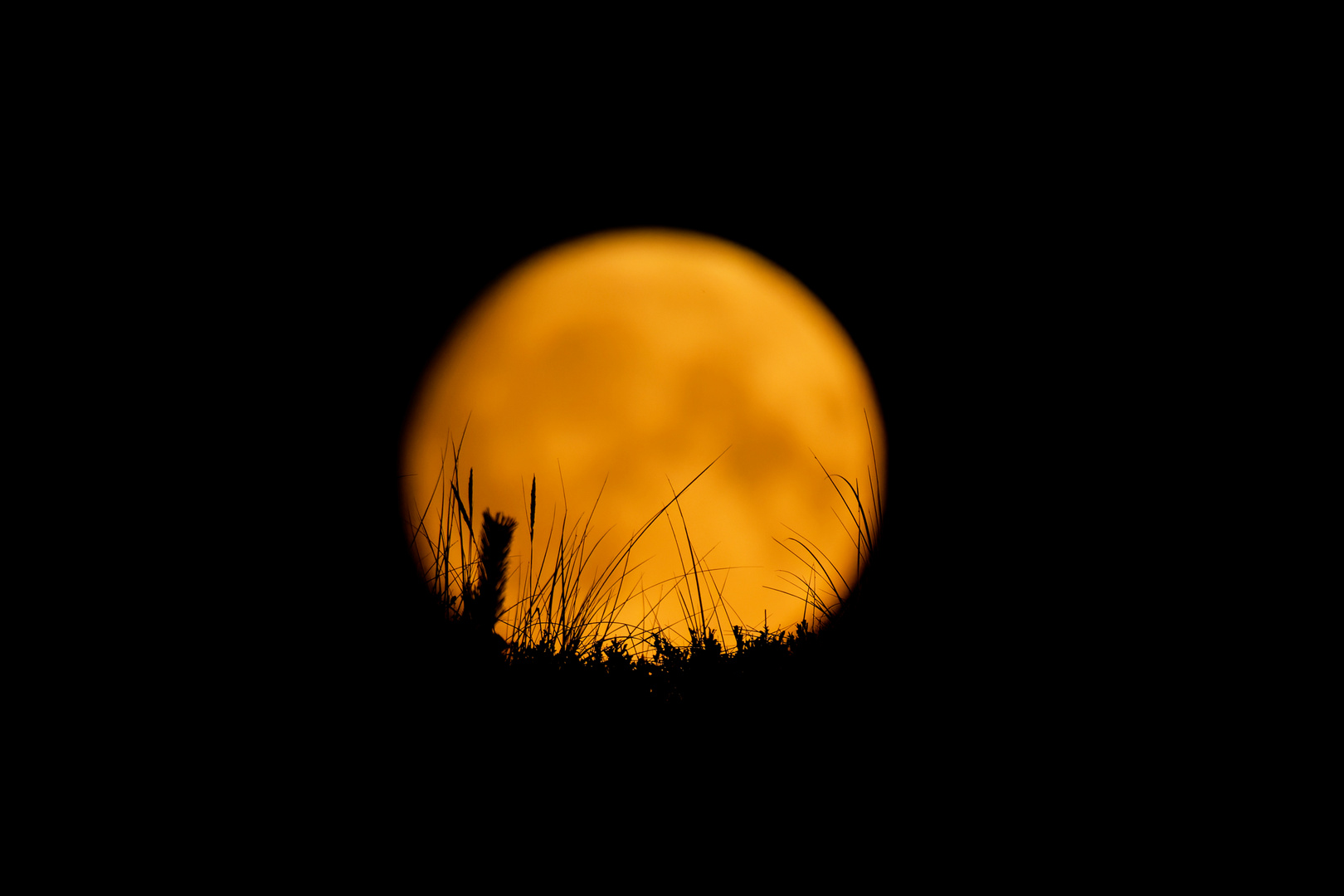 Kurz vor Vollmond im August