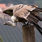 kurz vorm Abflug