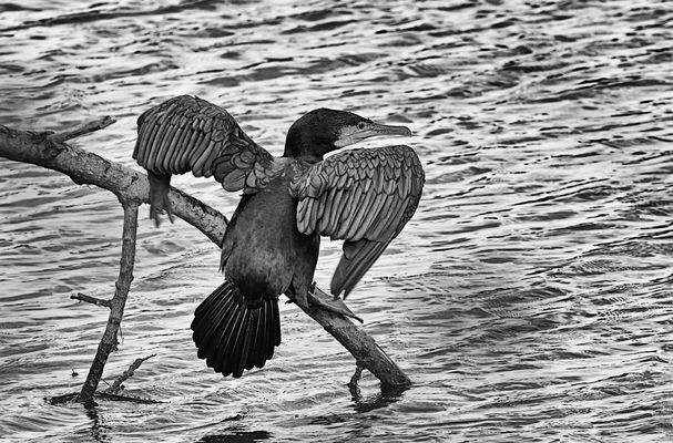 Kurz vorm Abheben ... 