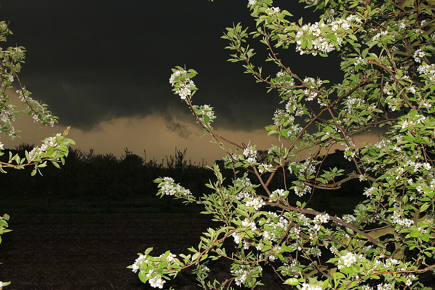 Kurz vor´m Gewitter