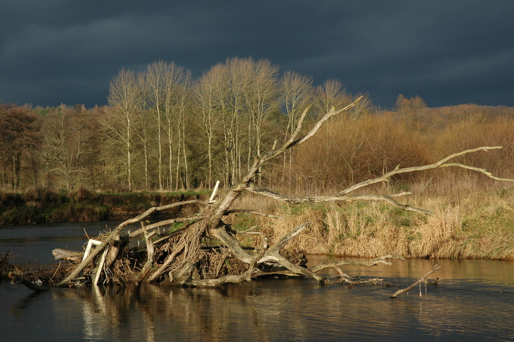 Kurz vor´m Gewitter