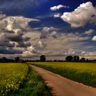 Kurz vorm Gewitter