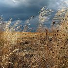 Kurz vorm Gewitter II