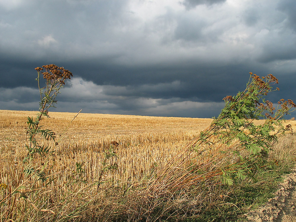 Kurz vorm Gewitter III