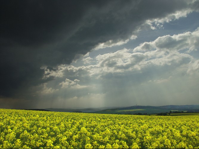 Kurz vorm großen Gewitter