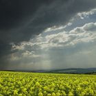 Kurz vorm großen Gewitter