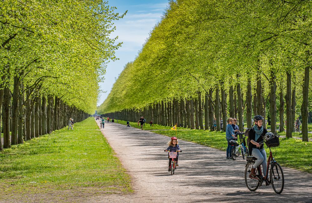 Kurzbesuch des Sommers I - Hannover-Herrenhausen 