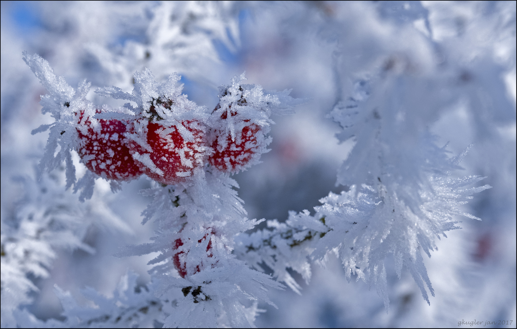 Kurze Eiszeit