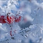 Kurze Eiszeit