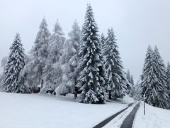 Kurze, fast nur auf den Bergen bemerkte, Rückkehr - 01