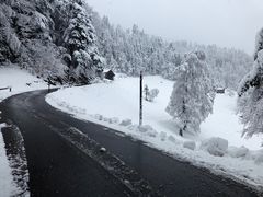 Kurze, fast nur auf den Bergen bemerkte, Rückkehr - 02