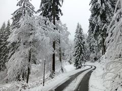 Kurze, fast nur auf den Bergen bemerkte, Rückkehr - 03