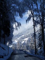 Kurze, fast nur auf den Bergen bemerkte, Rückkehr - 04