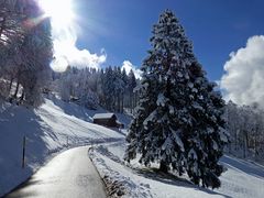 Kurze, fast nur auf den Bergen bemerkte, Rückkehr - 05