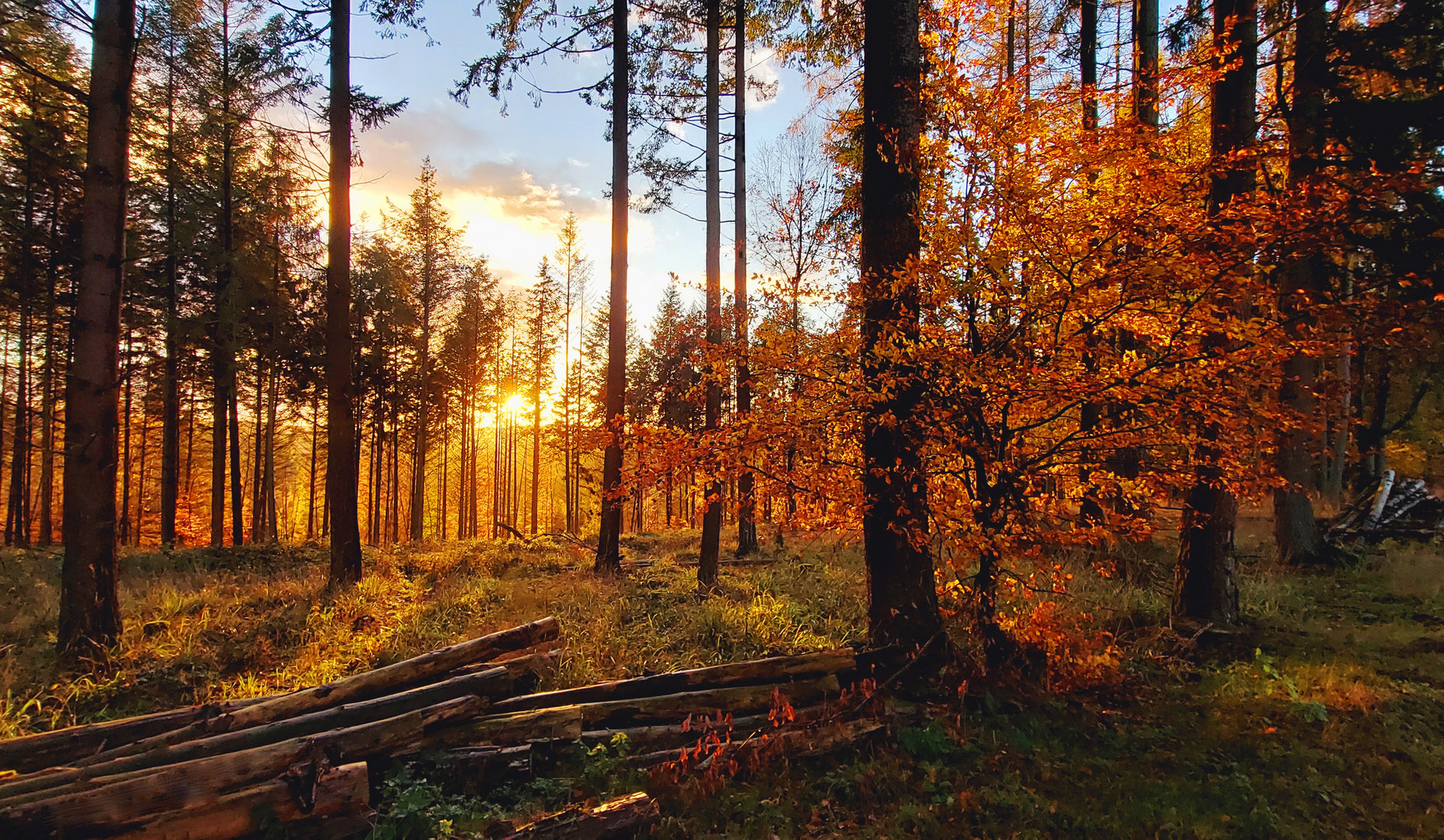 Kurze Herbstmomente im Taunus ...