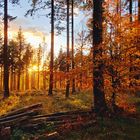 Kurze Herbstmomente im Taunus ...