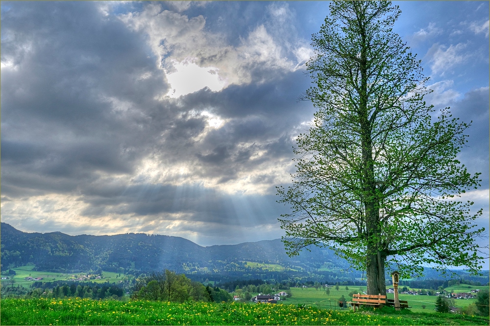 Kurze Lichtblicke ...