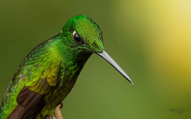 °°_Kurze Pause_°°