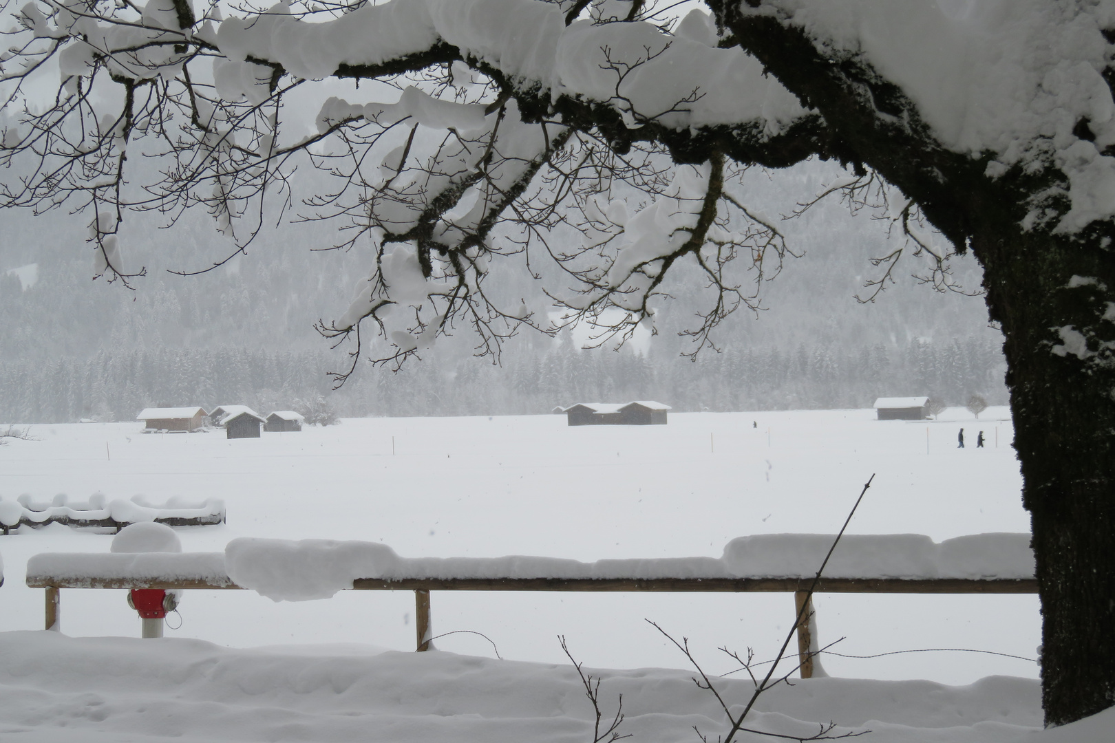 Kurze Pause im Schneesturm ...