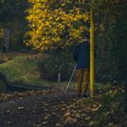 kurze Pause vom Herbstspaziergang