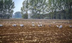 Kurze Rast im Herbstwetter