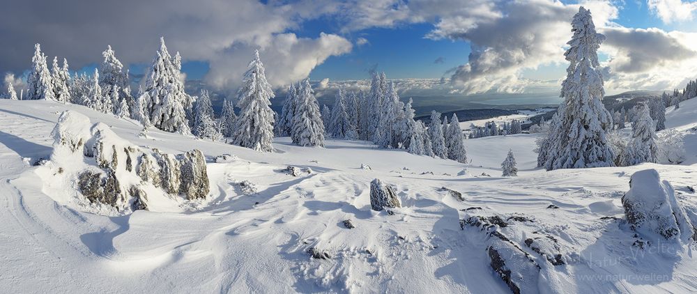 Kurze Tage (160° Pano)