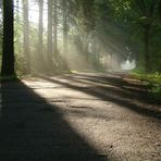 kurze Tage - lange Schatten