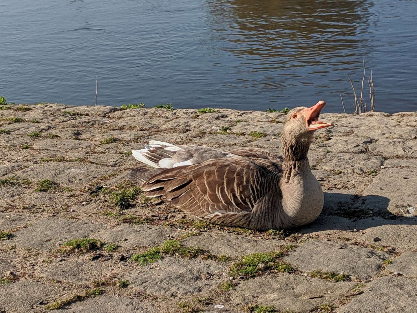 Kurze Unterhaltung in Pirna ;-)