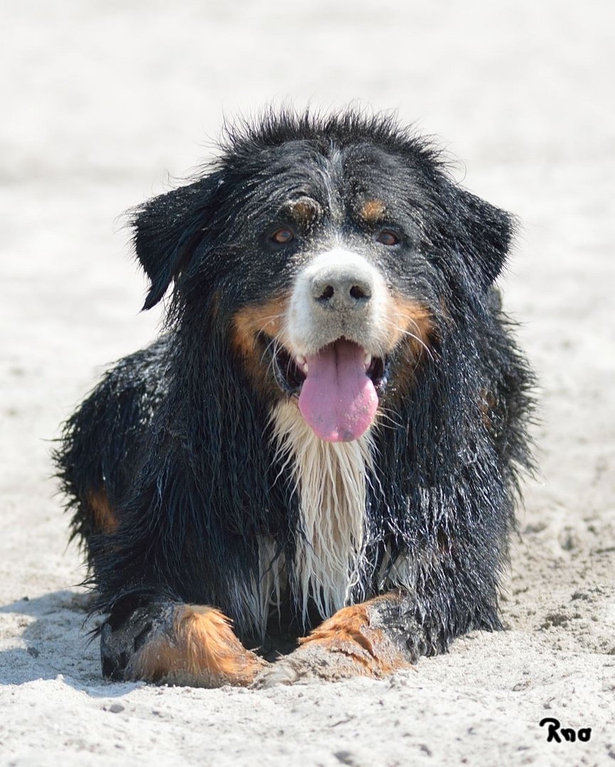 kurze Verschnaufpause