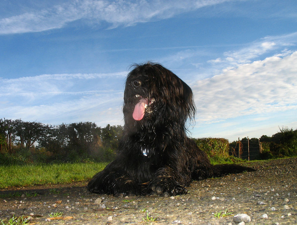 kurze Verschnaufpause ;-)