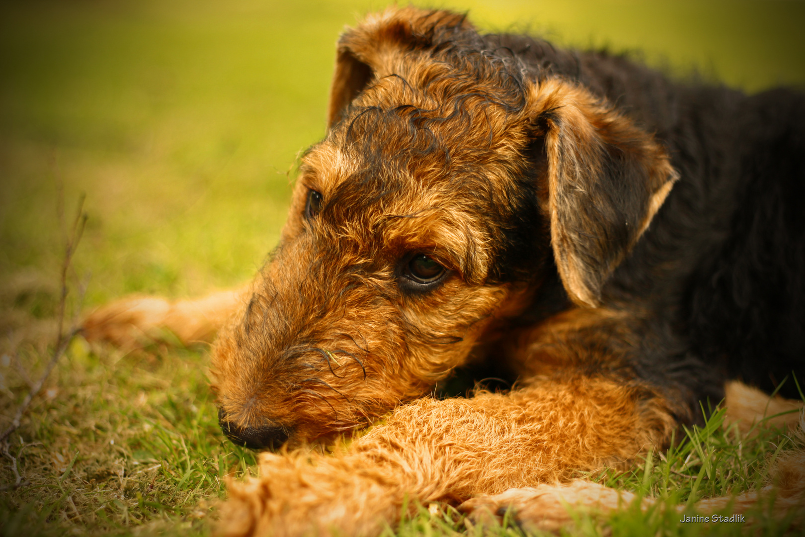 Kurze Verschnaufpause....