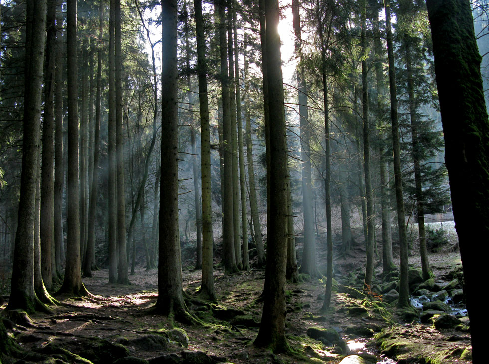 Kurze Zeit später war der Nebel weg