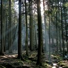 Kurze Zeit später war der Nebel weg