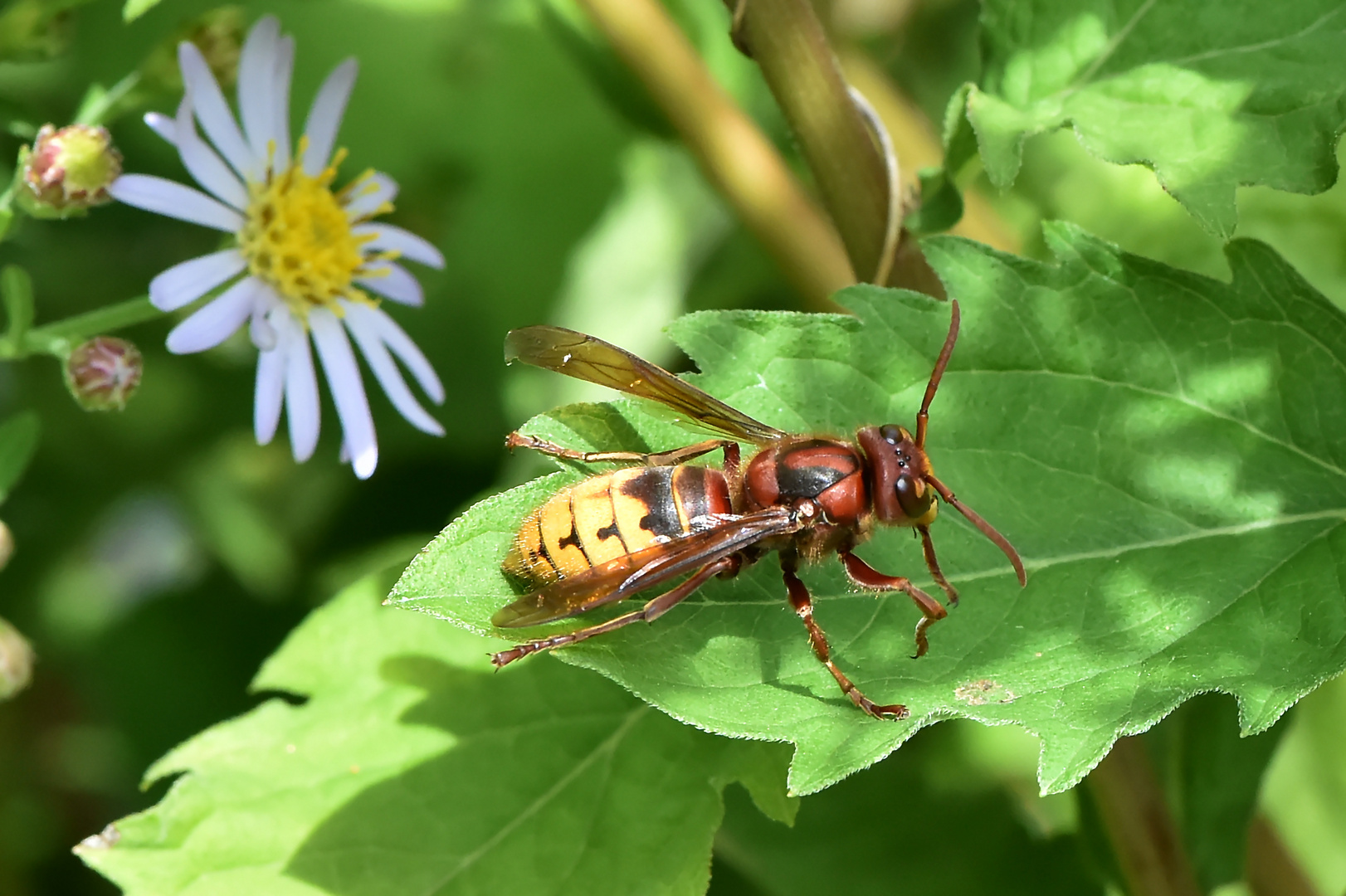 Kurzer Besuch