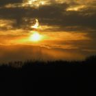 Kurzer Blick auf die partielle Sonnenfinsternis am 4. Januar 2011 in Hilden