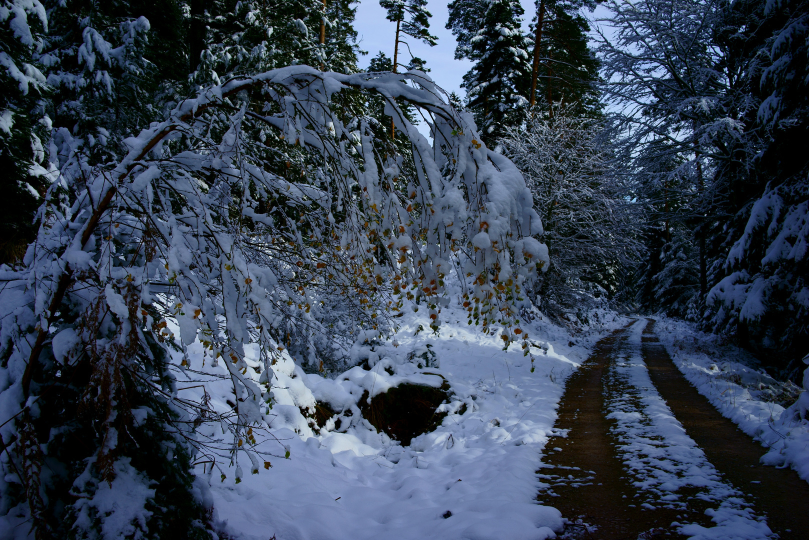 Kurzer, früher Winter im Nordschwarzwald bei Schönmünzach