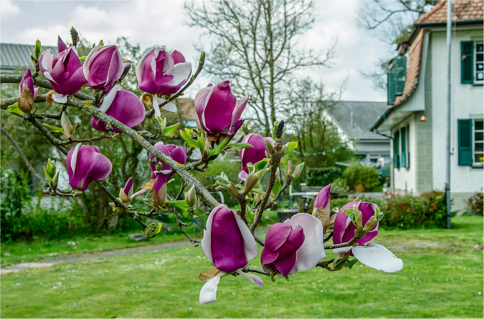 Kurzer Frühling