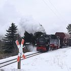 Kurzer Güterzug mit Rollwagen