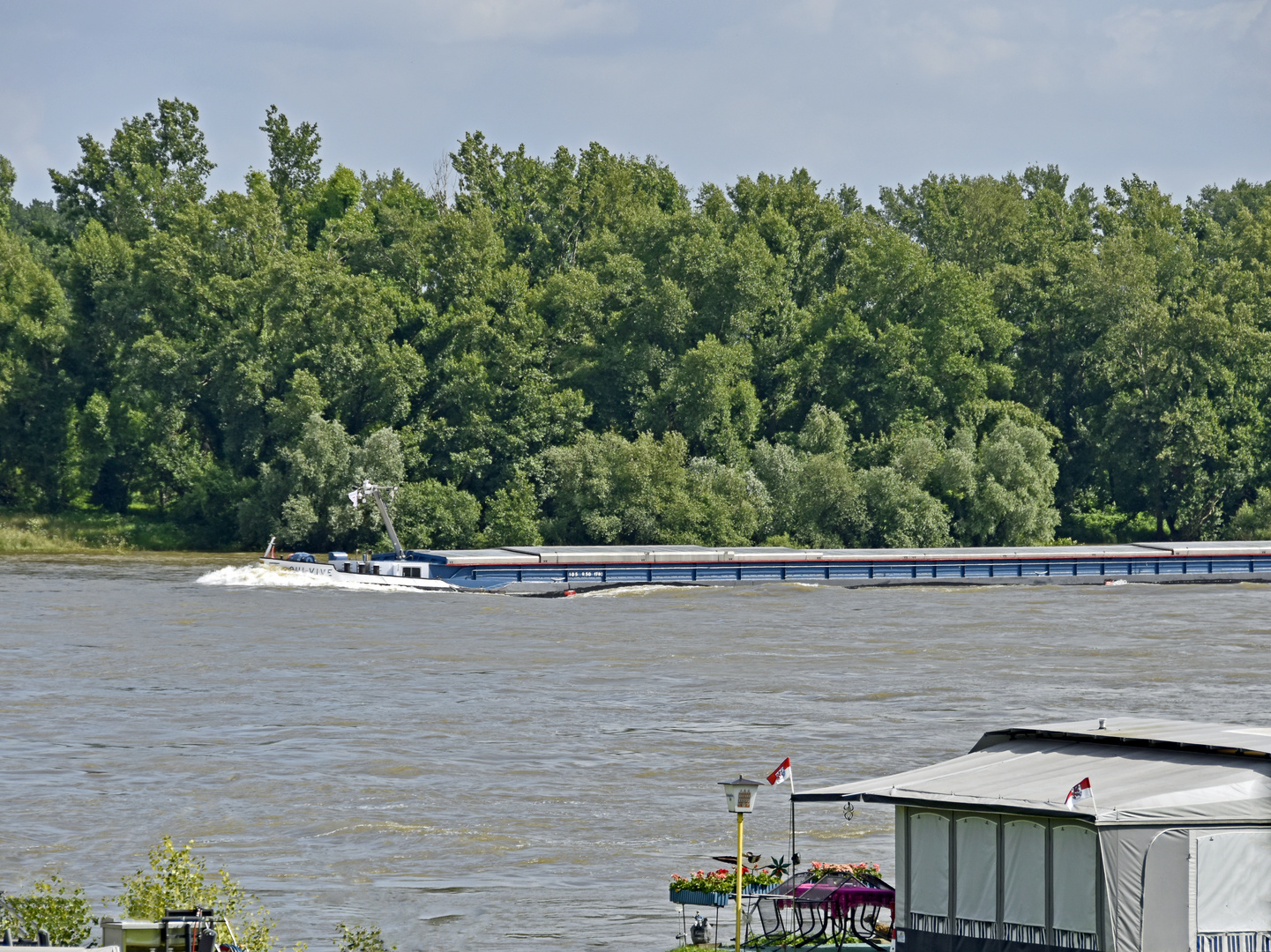 kurzer Rheinblick